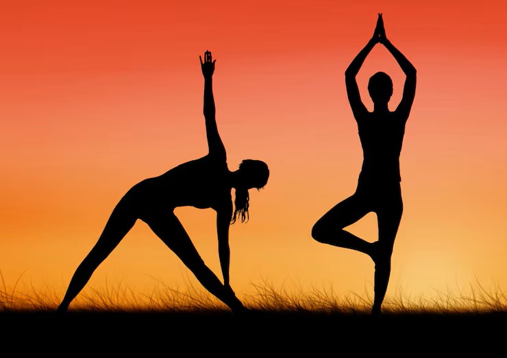 Hatha Yoga for Beginners yoga class